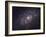 Triangulum Galaxy-Stocktrek Images-Framed Photographic Print