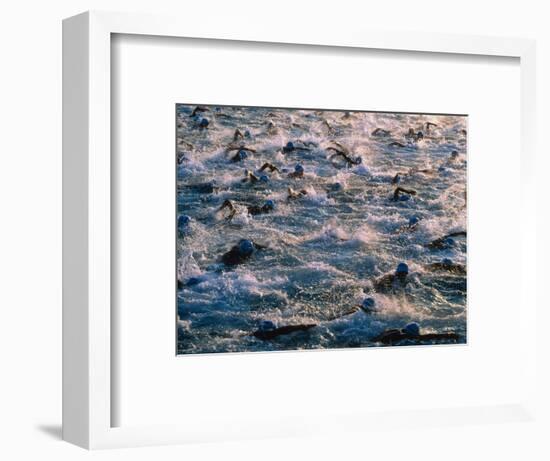 Triathlon Swimmers-Brad Lewis-Framed Premium Photographic Print