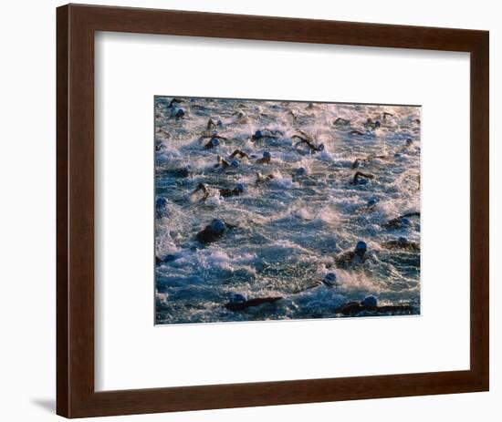 Triathlon Swimmers-Brad Lewis-Framed Premium Photographic Print