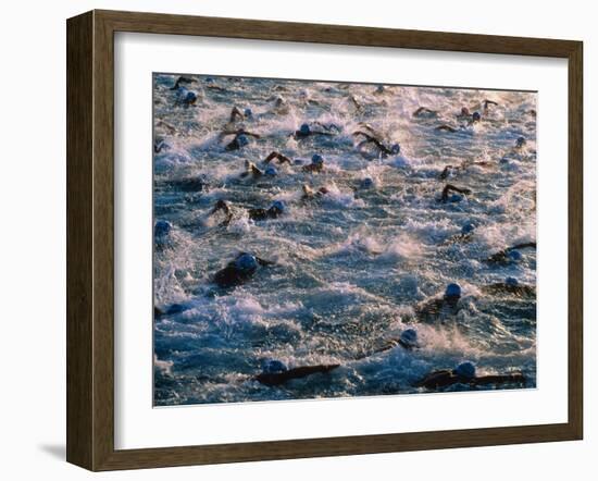 Triathlon Swimmers-Brad Lewis-Framed Photographic Print