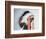 Tribal Headdress, Sioux Tribe (Textile and Feathers)-American-Framed Premium Giclee Print