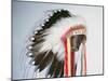 Tribal Headdress, Sioux Tribe (Textile and Feathers)-American-Mounted Giclee Print