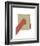 Tribeca-Denise Duplock-Framed Art Print