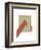 Tribeca-Denise Duplock-Framed Art Print