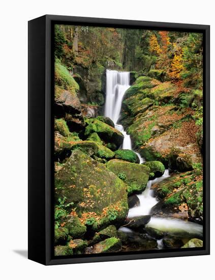 Triberg Waterfall in Autumn, Black Forest, Baden-Wurttemberg, Germany-null-Framed Premier Image Canvas