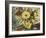 Tribute to Vincent Van Gogh; Homenaje a Vincent Van Gogh-Joaquin Clausell-Framed Giclee Print