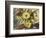 Tribute to Vincent Van Gogh; Homenaje a Vincent Van Gogh-Joaquin Clausell-Framed Giclee Print