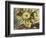 Tribute to Vincent Van Gogh; Homenaje a Vincent Van Gogh-Joaquin Clausell-Framed Giclee Print