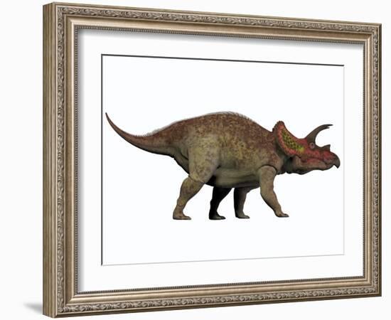 Triceratops, a Herbivorous Dinosaur from the Cretaceous Period-null-Framed Art Print