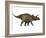 Triceratops, a Herbivorous Dinosaur from the Cretaceous Period-null-Framed Art Print