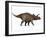 Triceratops, a Herbivorous Dinosaur from the Cretaceous Period-null-Framed Art Print