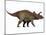 Triceratops, a Herbivorous Dinosaur from the Cretaceous Period-null-Mounted Art Print