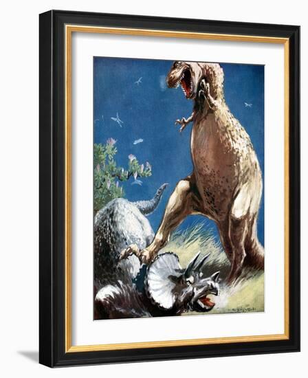 Triceratops, a Horned Dinosaur, Held Down by a Tyrannosaur, C1920-null-Framed Giclee Print