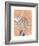 Triceratops Balance-Katrien Soeffers-Framed Giclee Print