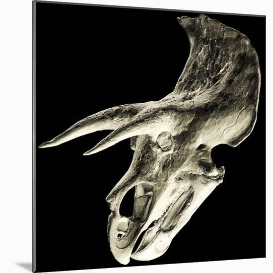 Triceratops Dinosaur Skull-Smithsonian Institute-Mounted Premium Photographic Print