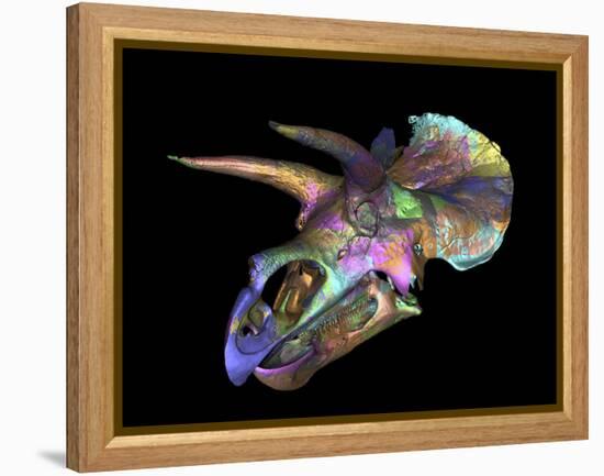 Triceratops Dinosaur Skull-Smithsonian Institute-Framed Premier Image Canvas