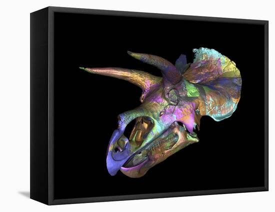 Triceratops Dinosaur Skull-Smithsonian Institute-Framed Premier Image Canvas