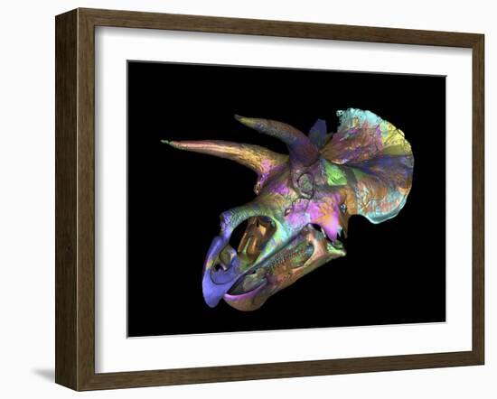 Triceratops Dinosaur Skull-Smithsonian Institute-Framed Photographic Print