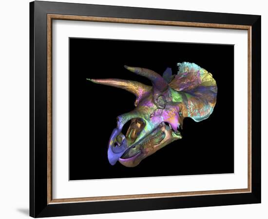 Triceratops Dinosaur Skull-Smithsonian Institute-Framed Photographic Print