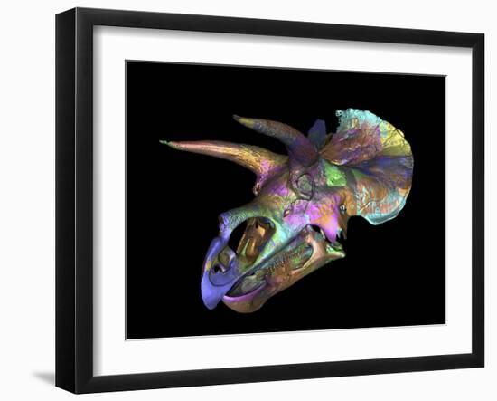 Triceratops Dinosaur Skull-Smithsonian Institute-Framed Photographic Print