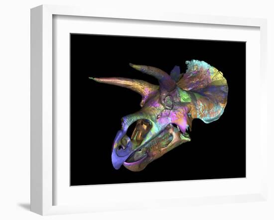 Triceratops Dinosaur Skull-Smithsonian Institute-Framed Photographic Print