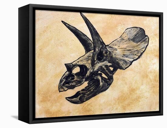 Triceratops Dinosaur Skull-Stocktrek Images-Framed Stretched Canvas