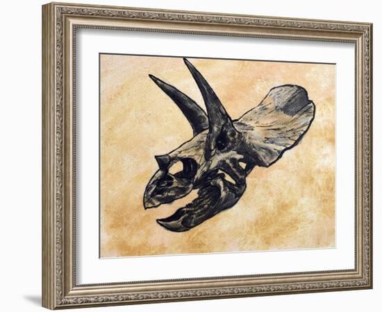 Triceratops Dinosaur Skull-Stocktrek Images-Framed Art Print