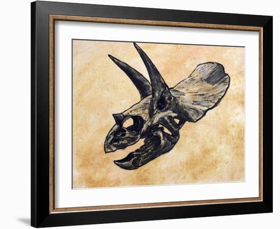 Triceratops Dinosaur Skull-Stocktrek Images-Framed Art Print