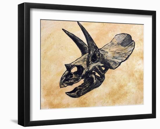 Triceratops Dinosaur Skull-Stocktrek Images-Framed Art Print