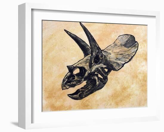 Triceratops Dinosaur Skull-Stocktrek Images-Framed Art Print