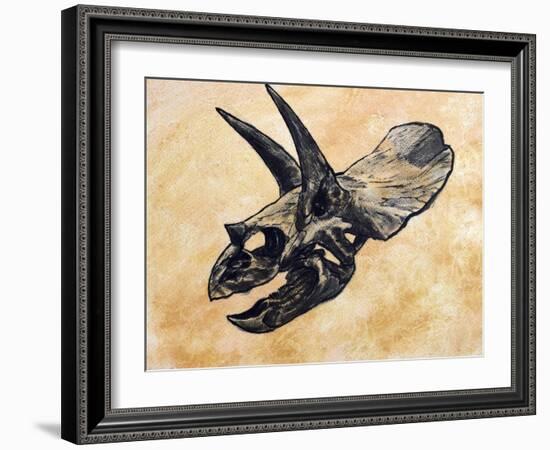 Triceratops Dinosaur Skull-Stocktrek Images-Framed Art Print