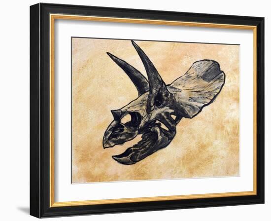 Triceratops Dinosaur Skull-Stocktrek Images-Framed Art Print