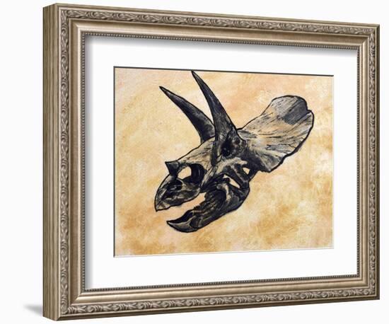 Triceratops Dinosaur Skull-Stocktrek Images-Framed Art Print