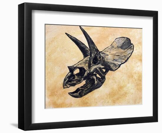 Triceratops Dinosaur Skull-Stocktrek Images-Framed Art Print