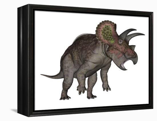 Triceratops Dinosaur Standing Up-Stocktrek Images-Framed Stretched Canvas