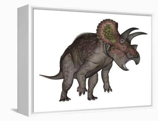 Triceratops Dinosaur Standing Up-Stocktrek Images-Framed Stretched Canvas