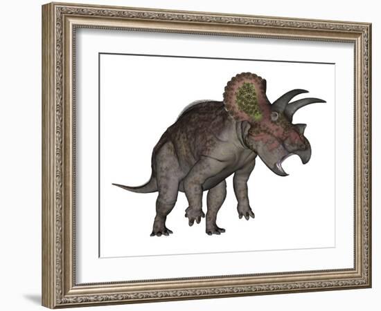 Triceratops Dinosaur Standing Up-Stocktrek Images-Framed Art Print