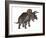 Triceratops Dinosaur Standing Up-Stocktrek Images-Framed Art Print