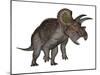 Triceratops Dinosaur Standing Up-Stocktrek Images-Mounted Art Print
