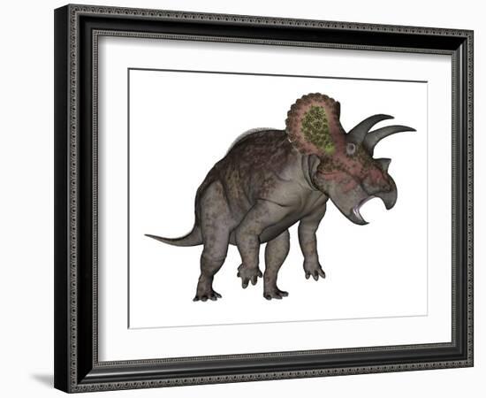 Triceratops Dinosaur Standing Up-Stocktrek Images-Framed Art Print