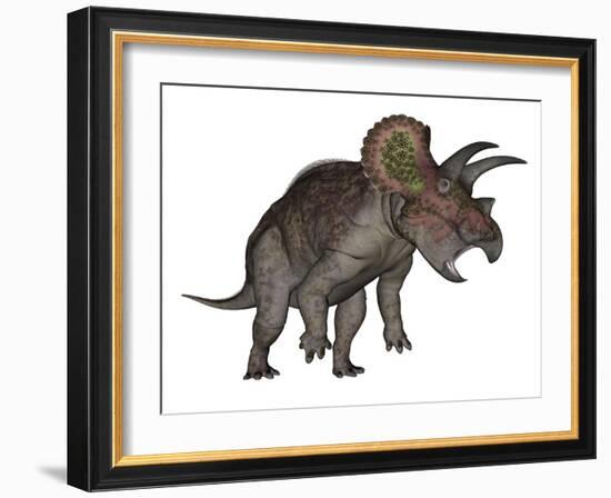 Triceratops Dinosaur Standing Up-Stocktrek Images-Framed Art Print