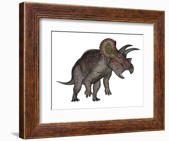 Triceratops Dinosaur Standing Up-Stocktrek Images-Framed Premium Giclee Print