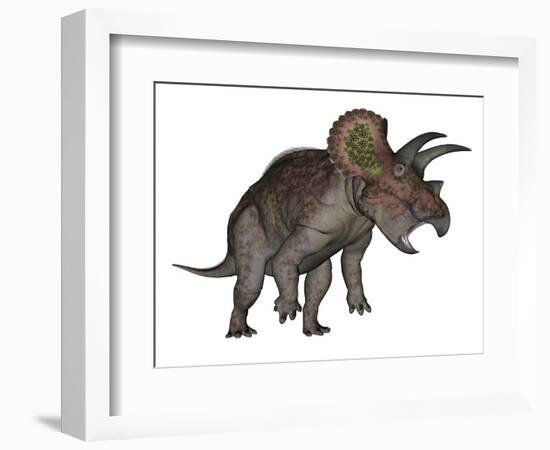 Triceratops Dinosaur Standing Up-Stocktrek Images-Framed Premium Giclee Print