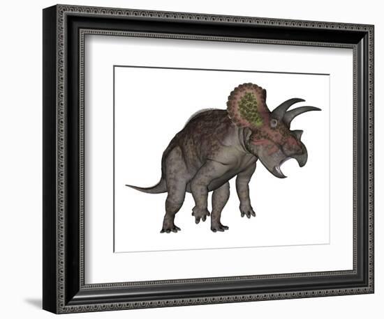 Triceratops Dinosaur Standing Up-Stocktrek Images-Framed Premium Giclee Print