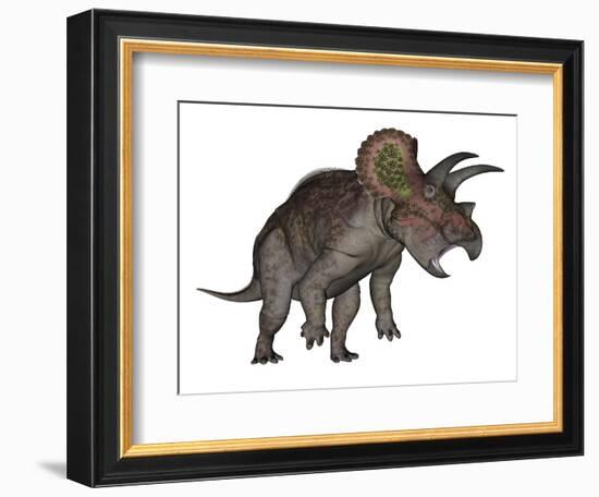 Triceratops Dinosaur Standing Up-Stocktrek Images-Framed Art Print