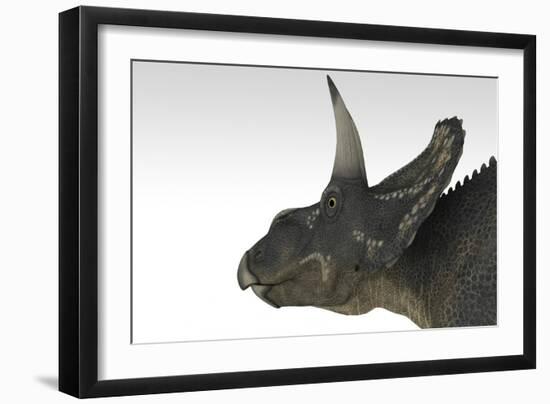 Triceratops Dinosaur, White Background-null-Framed Premium Giclee Print