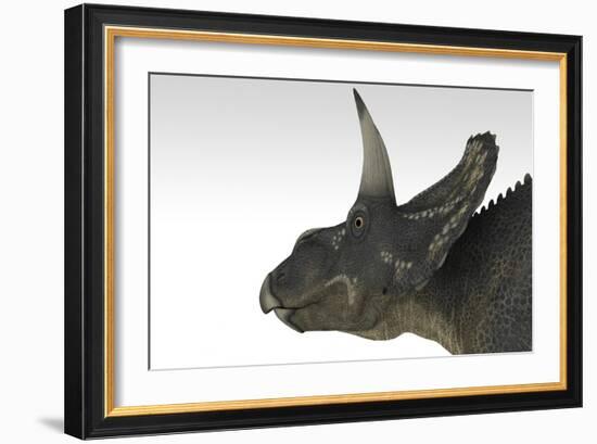 Triceratops Dinosaur, White Background-null-Framed Art Print