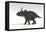 Triceratops Dinosaur, White Background-null-Framed Stretched Canvas