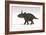 Triceratops Dinosaur, White Background-null-Framed Art Print