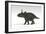 Triceratops Dinosaur, White Background-null-Framed Art Print